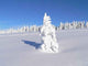 Snow-covered Fir Wall Decal