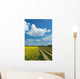 Dirt Road among Fields Wall Decal