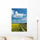 Dirt Road among Fields Wall Decal