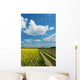 Dirt Road among Fields Wall Decal