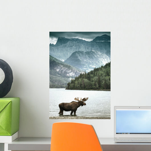 Elch in einem See vor eindrucksvollem Bergpanorama Wall Mural