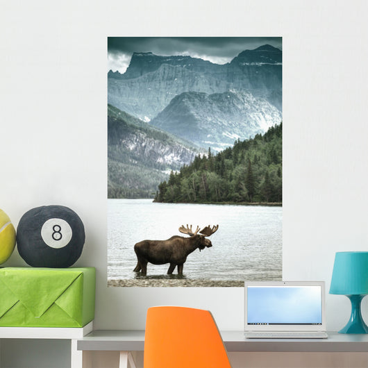 Elch in einem See vor eindrucksvollem Bergpanorama Wall Mural