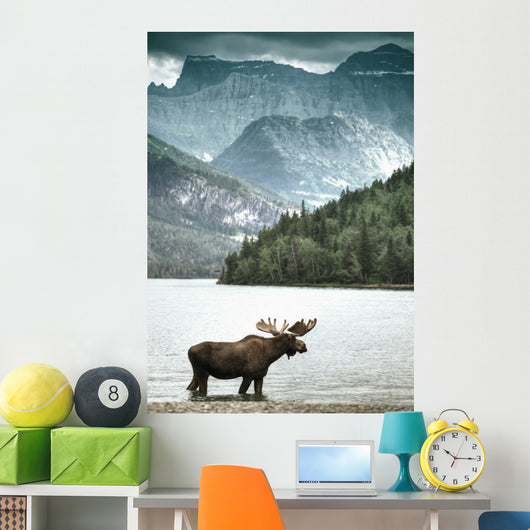 Elch in einem See vor eindrucksvollem Bergpanorama Wall Mural