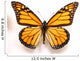 Monarch Butterfly Wall Decal
