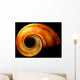Shell Wall Mural