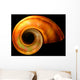 Shell Wall Mural