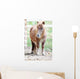 Pony Wall Mural