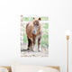 Pony Wall Mural