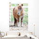 Pony Wall Mural