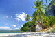 tropical solitude Wall Mural