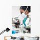 Asian Woman Doctor or Scientist Using a Microscope In Laboratory Wall Mural
