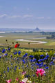 Bay Mont St Michel Wall Decal