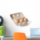 eggs in paper egg carton Wall Decal