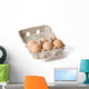 eggs in paper egg carton Wall Decal