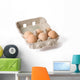 eggs in paper egg carton Wall Decal