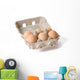 eggs in paper egg carton Wall Decal