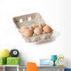 eggs in paper egg carton Wall Decal
