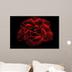 Rose Wall Mural