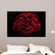 Rose Wall Mural