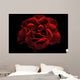 Rose Wall Mural