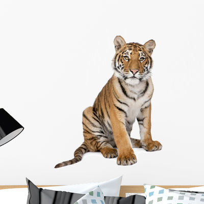 Portrait Bengal Tiger Wall Decal shown on a wall