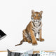 Portrait of Bengal Tiger, 1 year old, sitting, studio shot, Pant Wall Decal