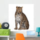 Sitting Leopard Wall Decal