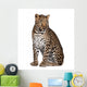 Sitting Leopard Wall Decal
