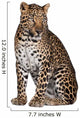 Sitting Leopard Wall Decal