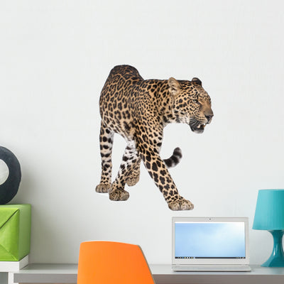 Portrait Leopard Wall Decal shown on a wall