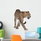 Portrait of leopard, Panthera pardus, walking, studio shot Wall Decal