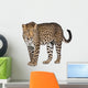 Portrait of leopard, Panthera pardus, standing, studio shot Wall Decal