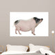 Side Gottingen Minipig