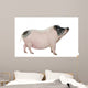 Side Gottingen Minipig
