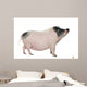 Side Gottingen Minipig