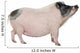 Side Gottingen Minipig