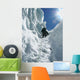 Extreme Sport Wall Mural