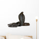 Egyptian Cobra, Naja Haje, studio shot Wall Decal