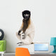 Young Crowned Sifaka, Propithecus Coronatus, 1 year old, sitting Wall Decal