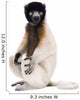 Young Crowned Sifaka, Propithecus Coronatus, 1 year old, sitting Wall Decal