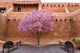 Flowering Tree Downtown Santa Wall Decal