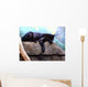 Black Panther Wall Decal