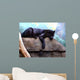 Black Panther Wall Decal