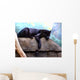 Black Panther Wall Decal