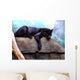 Black Panther Wall Decal
