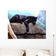 Black Panther Wall Decal
