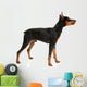 Miniature Pinscher on a White Background Wall Decal