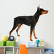 Miniature Pinscher on a White Background Wall Decal
