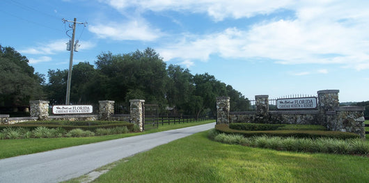 Florida Carriage Museum and Wall Decal