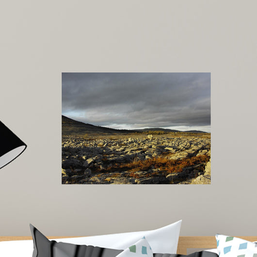 Burren Lanscape Wall Decal